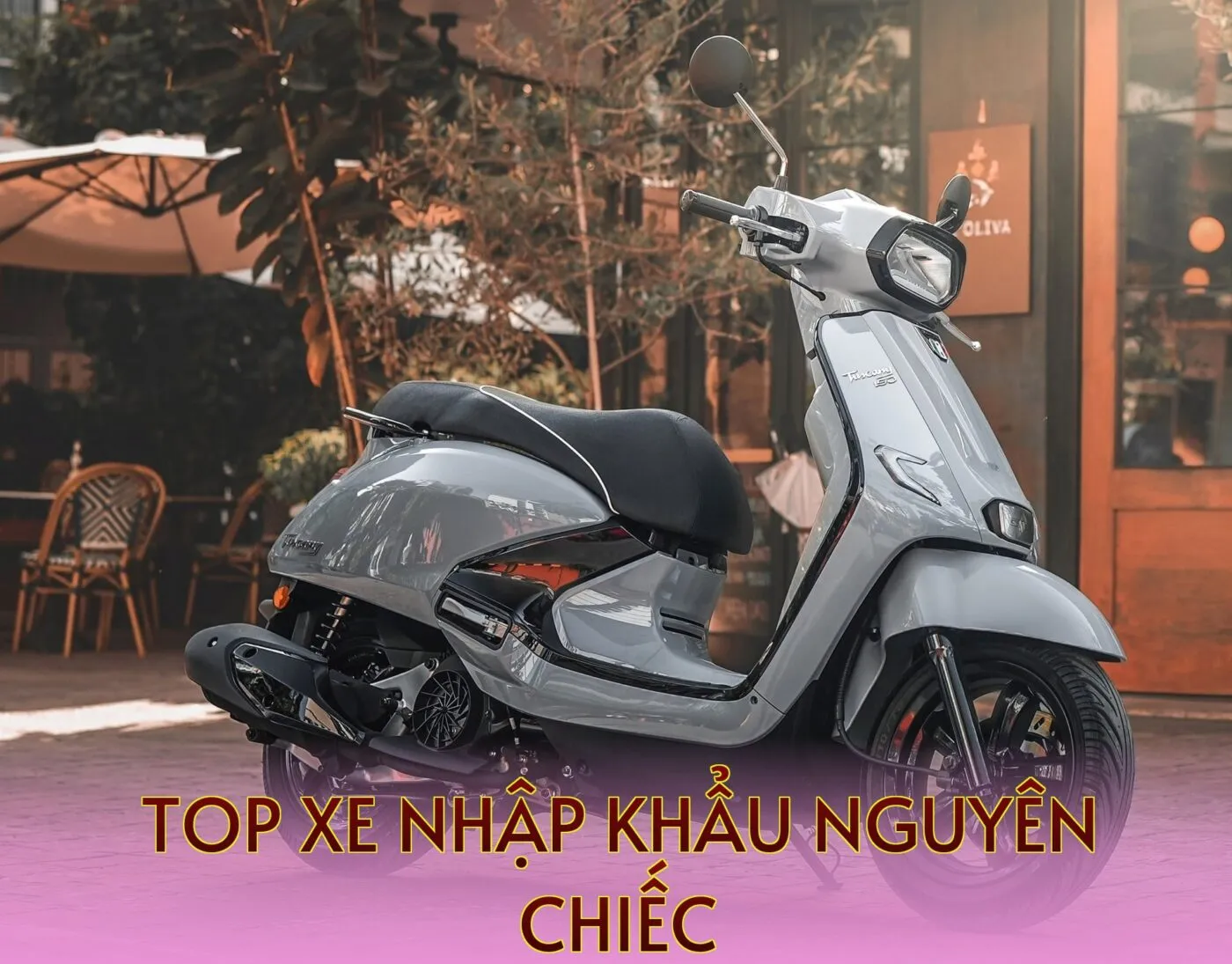 top xe nhập khẩu nguyên chiếc