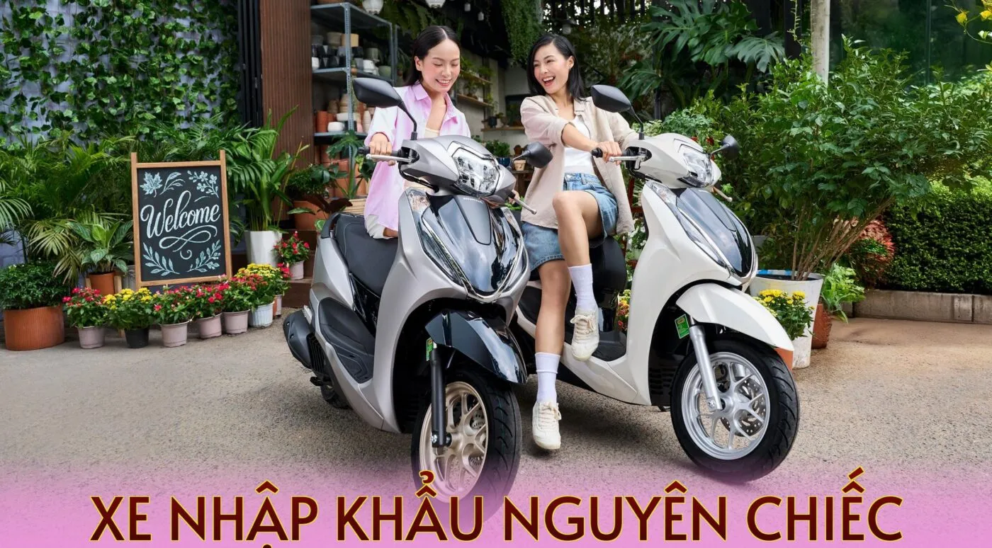Xe Nhập Khẩu Nguyên Chiếc