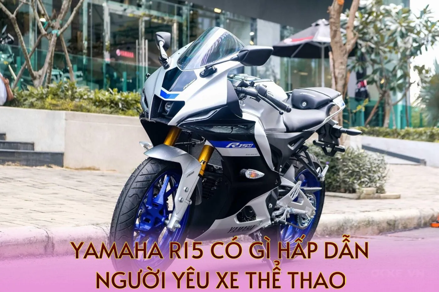 Yamaha R15 Có Gì Hấp Dẫn Người Yêu Xe Thể Thao