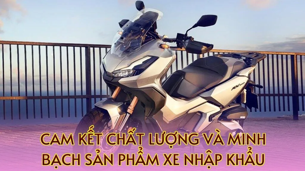 cam kết chất lượng và minh bạch sản phẩm xe nhập khẩu