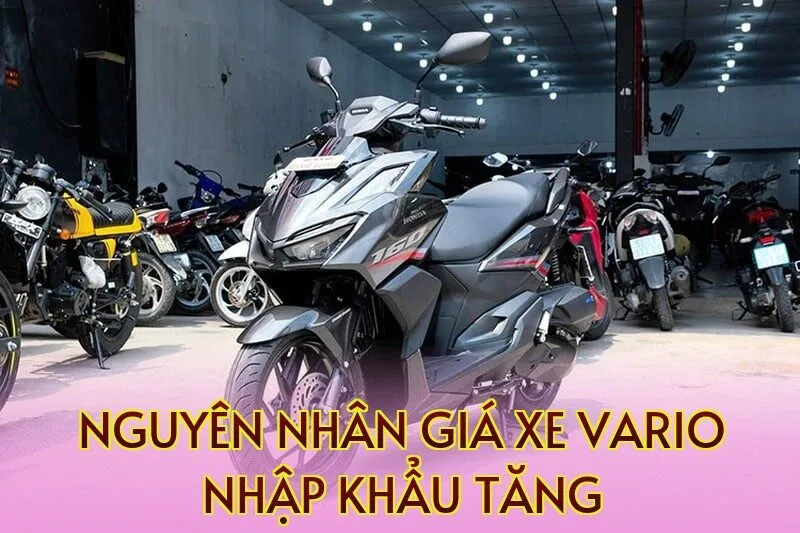 Nguyên nhân giá xe Vario nhập khẩu tăng