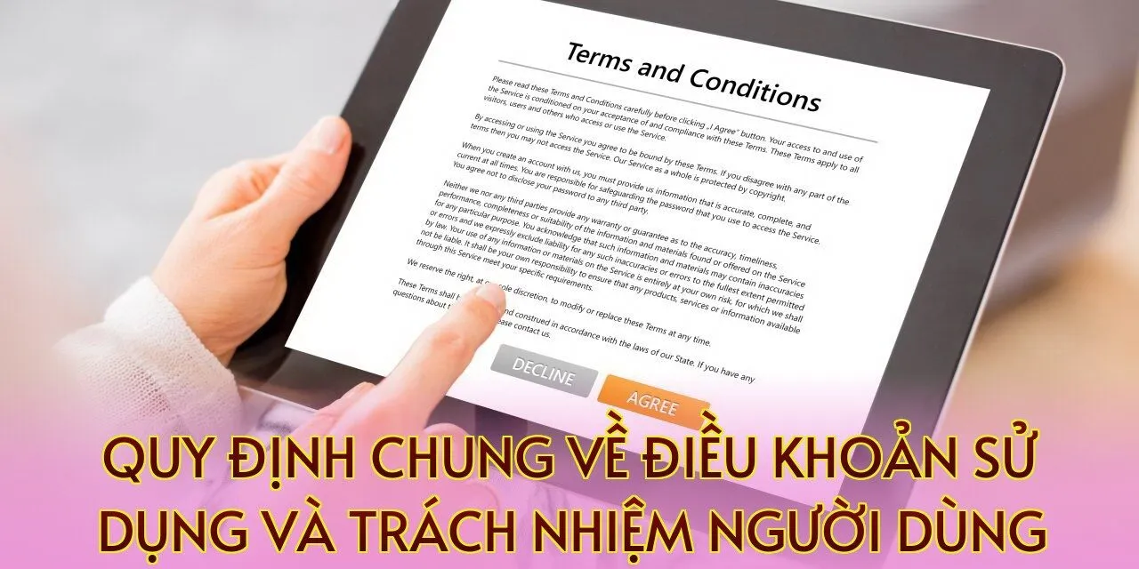 Quy định chung về điều khoản sử dụng và trách nhiệm người dùng